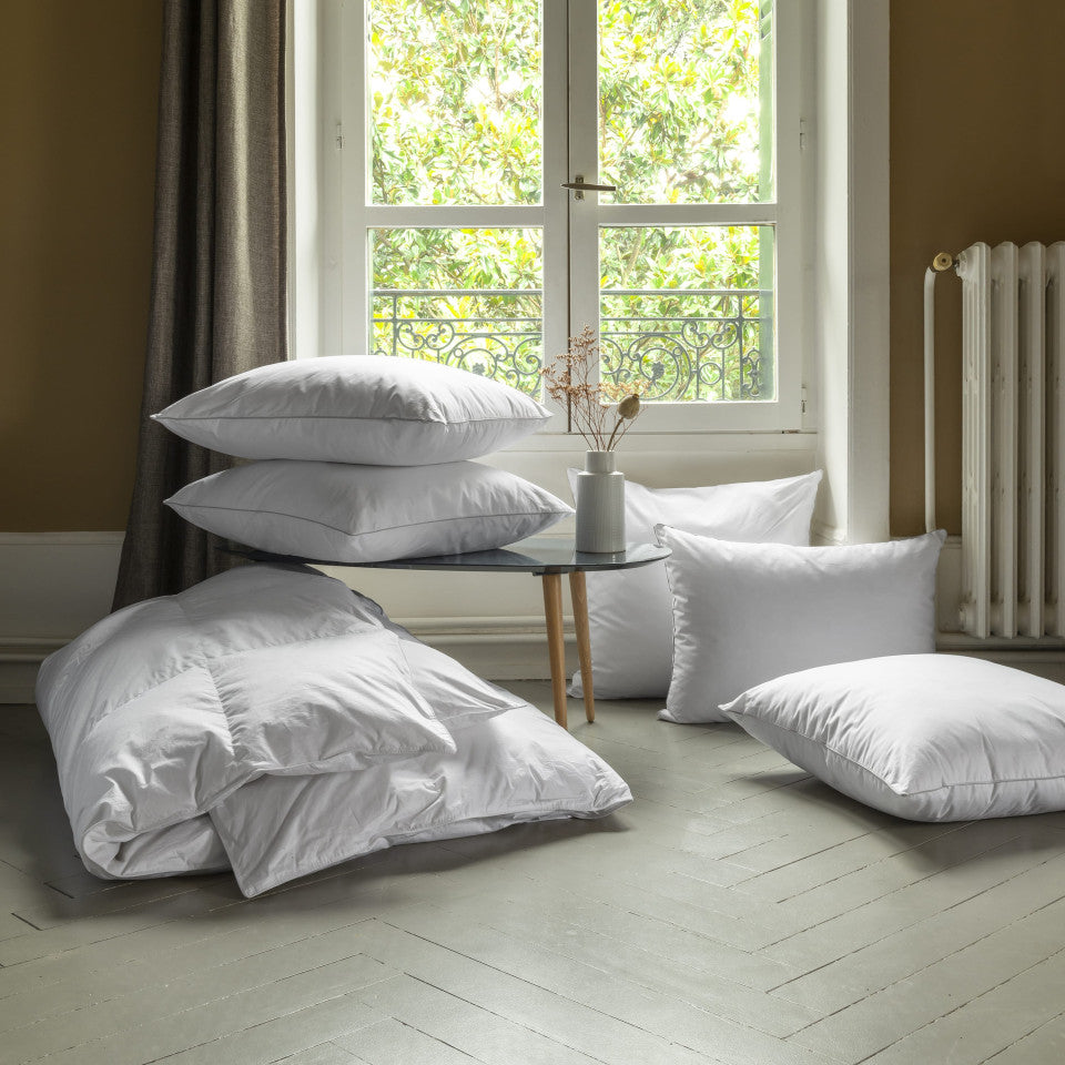Oreiller Plumes Ferme 60x60 cm - MARQUES DISCOUNT
