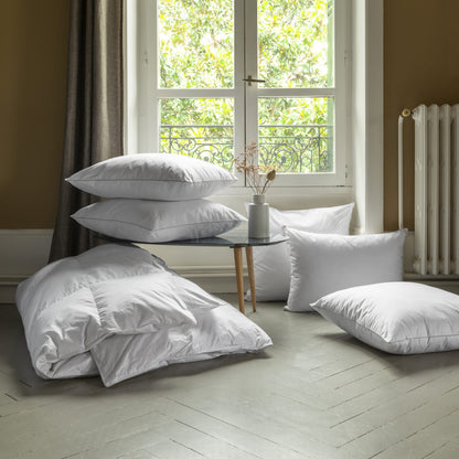 Oreiller Plumes Ferme 60x60 cm - MARQUES DISCOUNT
